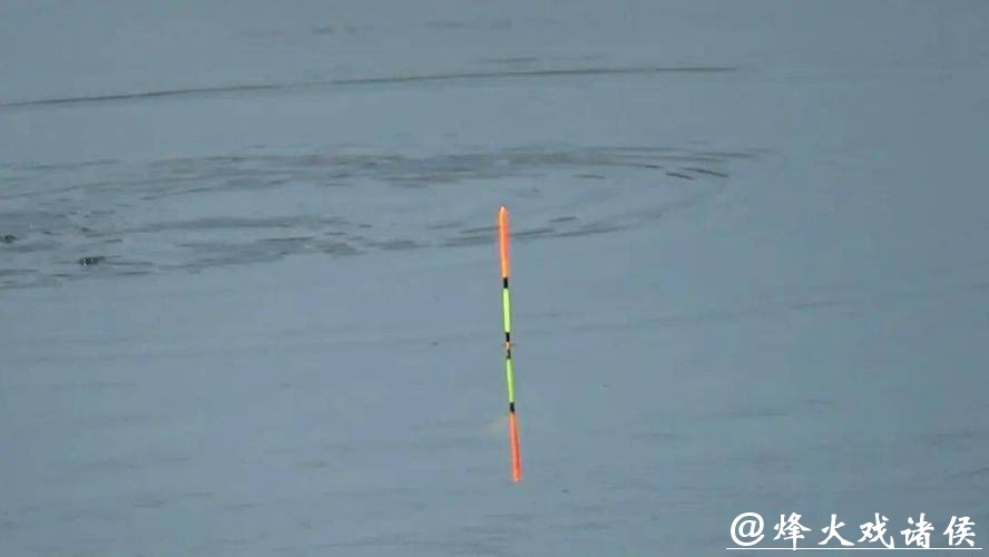 别再乱提竿!小飞哥拆解四大漂相:抓住这一种,中鱼率飙升95% 别再乱提竿!小飞哥拆解四大漂相:抓住这一种,中鱼率飙升95%